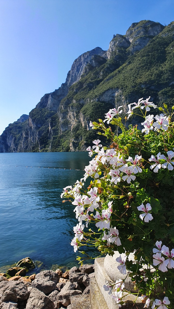 Garda-Gardasee-Italien.jpg