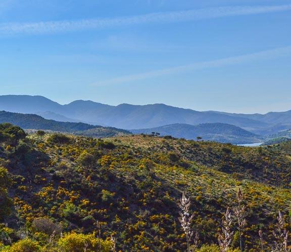 Natur Sardinien