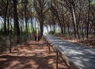 Le Gorette Cecina Camping Village Lodge Deluxe Family
