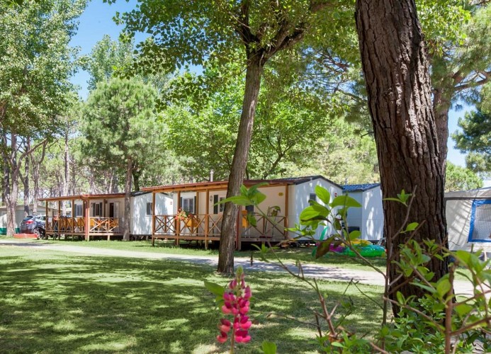 Ferienanlage Ca'Pasquali Mobilehome Top Residence Gold Holiday
