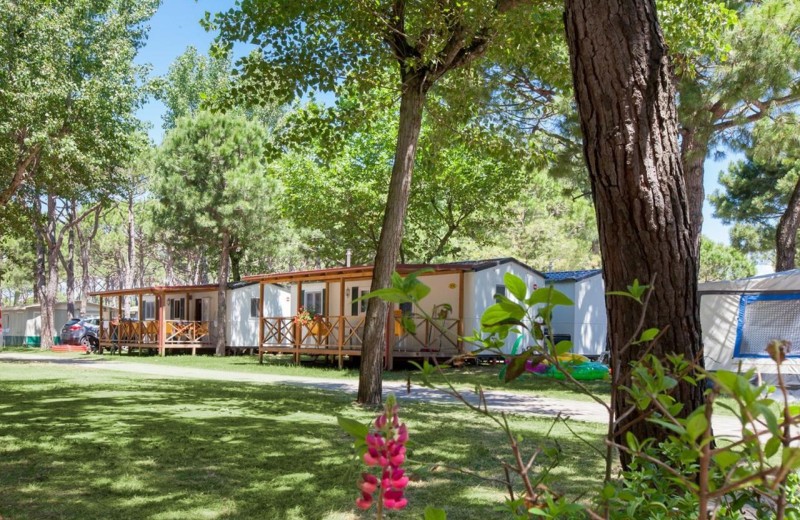 Ferienanlage Ca'Pasquali Mobilehome Top Residence Gold Holiday