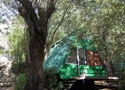 La Francesca Sud Mobilehome Minolina