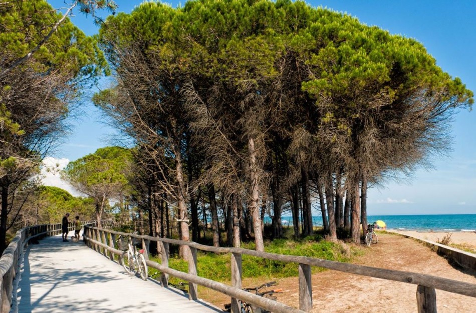 Residenz Vera Cruz-Dreizimmerwohnung C6*+