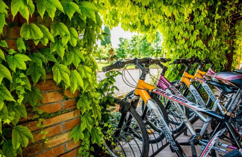 Tenuta Regina Dreizimmer-Wohnung Folaghe Trilocale 