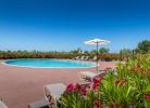 Camping Papafigo Villa Voliera