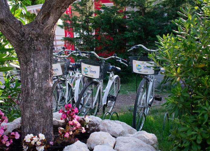 Feriendorf Stork Lodge Deluxe Family