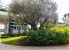 Ferienanlage Capitol Baia Elite für 6 Personen