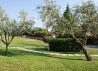 Residenz Primera Zweizimmer-Wohnung Tipo B2 