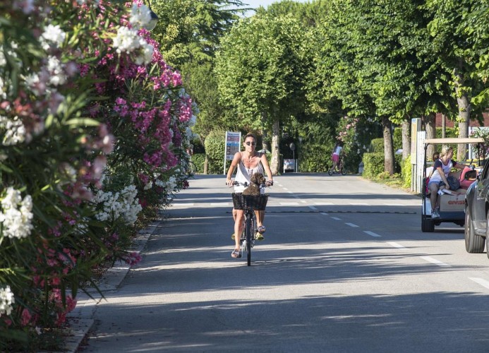 Feriendorf  Francesco Holiday Home Blue Ivy