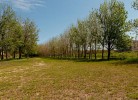 Residenz Arcobaleno Zweizimmer-Wohnung Cavalluccio Marino 10
