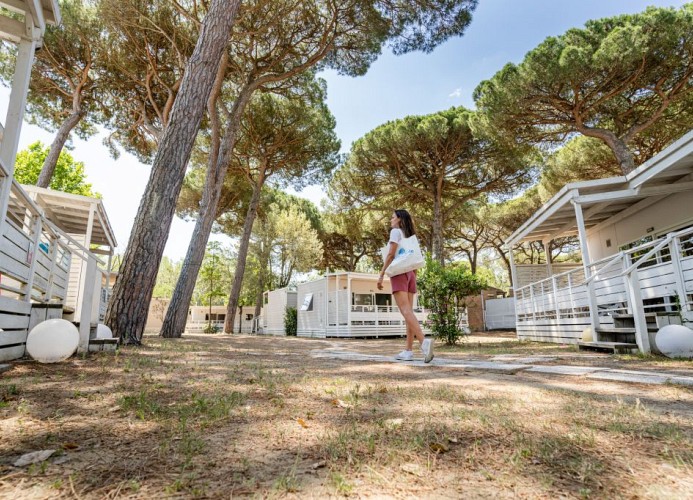 Ferienpark Marina Camping Village Lodge PET 