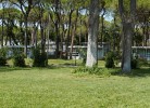 Belvedere Pineta Village Adria Home