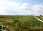 Tenuta Regina Zweizimmer-Wohnung Folaghe Bilocale 