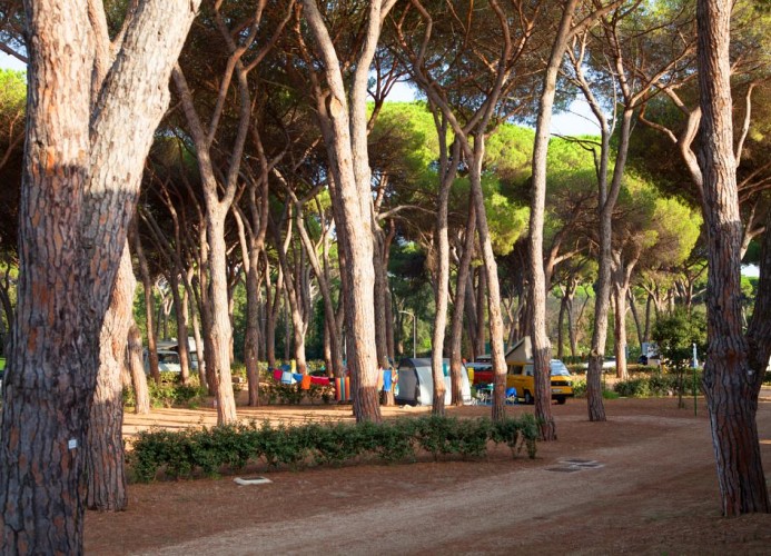 Ferienanlage Capitol Baia Elite für 6 Personen