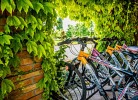 Tenuta Regina Glamping Luxury Lodge