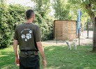 Le Mimose Family Camping Village Bungalow Deluxe