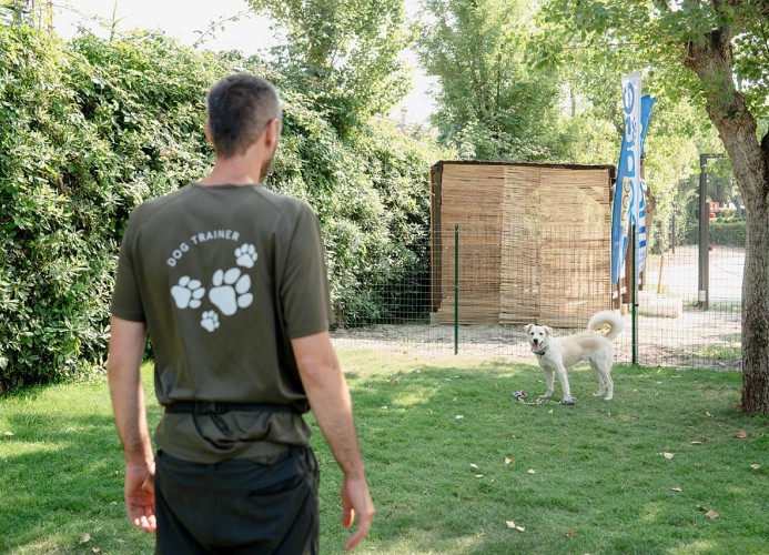 Le Mimose Family Camping Village Bungalow Deluxe
