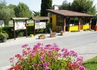 Ferienpark Fontanelle Mobilehome Standard Plus 8x3