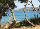 Camping Village Capo d'Orso Baia Revolution Plus