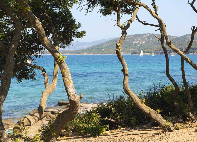 Camping Village Capo d'Orso Baia Revolution Plus