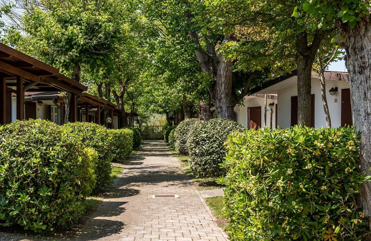 Camping La Conchiglia Bungalow Dalia