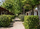 Camping La Conchiglia Bungalow Dalia