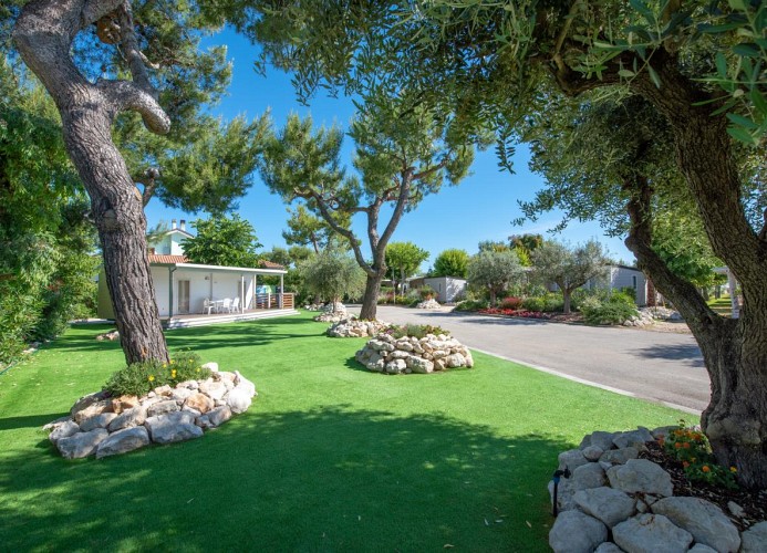 Feriendorf Stork Bungalow Bilo Dog
