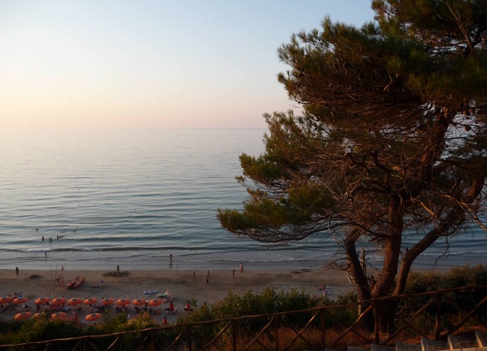 Camping Village Internazionale San Menaio Mobilehome Happy Easy