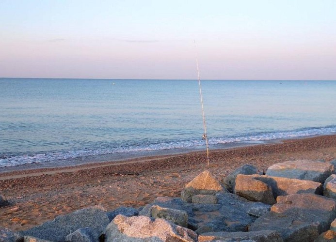 Feriendorf Els Pins Mobilehome Nature
