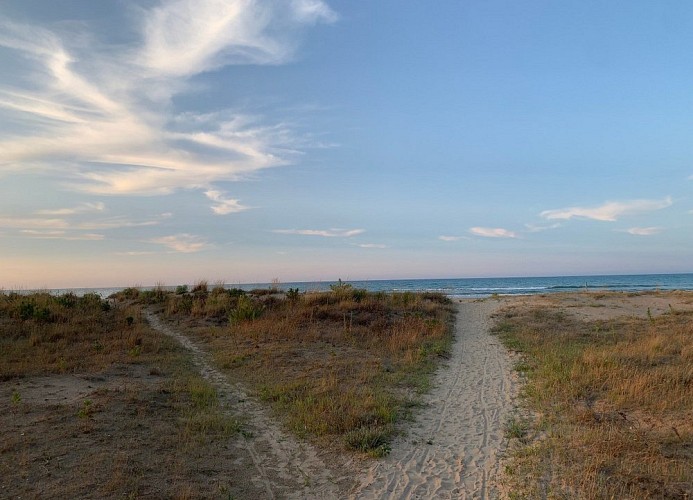 Il Pioppeto Camping Mobilehome Happy Comfort