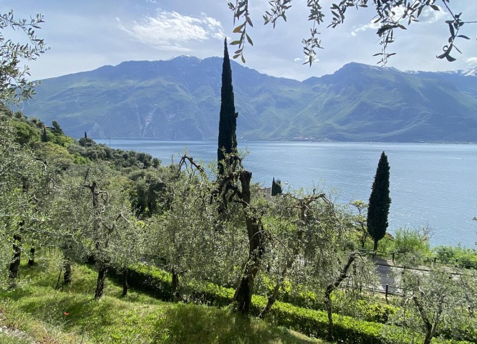 Residenz Villa Gianna Dreizimmer-Wohnung mit Seeblick