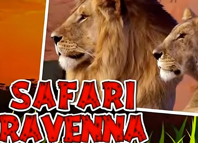 Ferienpark Cesenatico Mobilehome Orione 