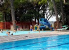 Belvedere Pineta Village Mobilehome Green Holiday