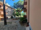 Residenz Tamerici Dreizimmer-Reihenhaus Tipo C2S