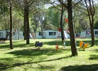 Belvedere Pineta Village Mobilehome Green Holiday