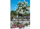 Feriendorf Francesco Holiday Home Midi 