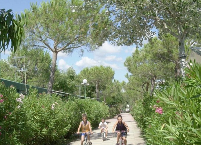 Ferienpark FreeBeach Mobilehome Happy Premium