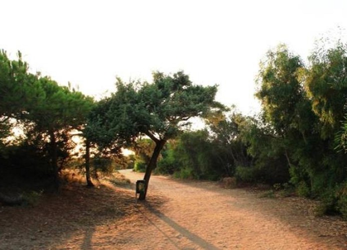 Bella Sardinia Mobilehome Happy Easy 