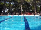 Belvedere Pineta Village Mobilehome Green Holiday