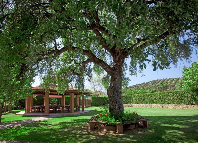 Resort Capalbio Dreizimmer-Bungalow Comfort Trilo