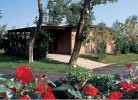 Ferienpark Rosapineta Chalet C4S 