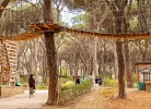Feriendorf Marze Lodge Maremma