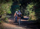 Bosco Verde Camping Mobilehome
