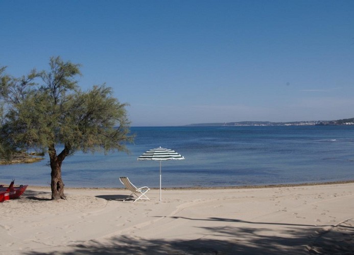 Camping La Vecchia Torre Mobilehome Happy Comfort
