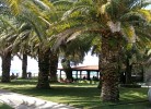 Castello Camping Summer Resort Mobilehome Happy Premium