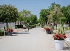 Le Mimose Family Camping Village Apartment Superior