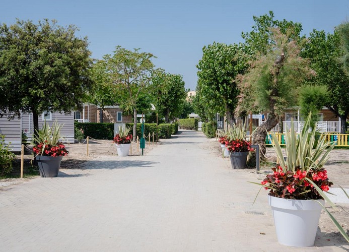 Le Mimose Family Camping Village Apartment Superior