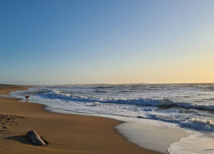 Camping Bella Italia Sardinia Mobilehome Happy Easy