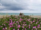 Feriendorf Le Tamerici Mobilehome Adige 