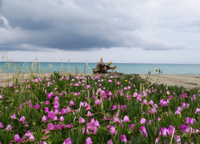Feriendorf Le Tamerici Mobilehome Adige 